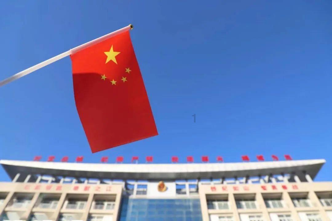 小猫钓鱼正版下载中文版