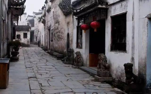 神奇小子龙之陷阱